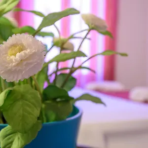 Apartament Housestation, Palermo